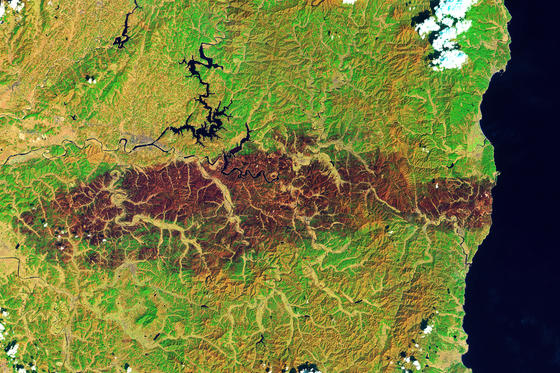 Image Description